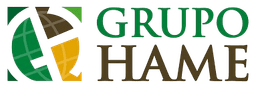 HAME Group